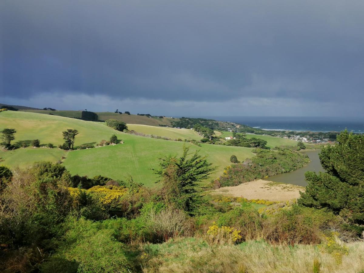 Gateway To Peninsula With Sea Views Appartamento Dunedin Esterno foto